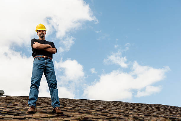 Roof Gutter Cleaning in Dauphin, PA